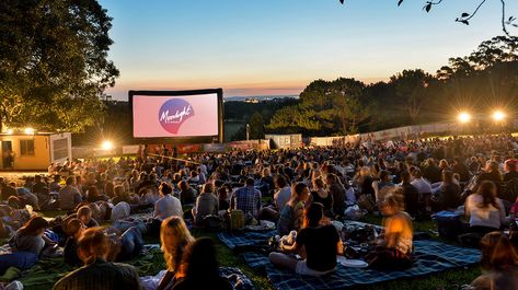 Moonlight Cinema Dogs' Night Out - April 1 | Australian Dog Lover Lego Movie Party, Sutton Park, Outdoor Movie Theater, Open Air Cinema, Outdoor Cinema, Cinema Experience, Centennial Park, Movie Screen, The Greatest Showman