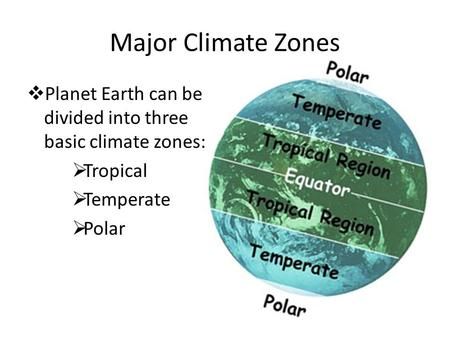 Neuron Diagram, Climatic Zones Of The World, Mythical Garden, Climate Changes Posters, Climate Activities, English Connection, Geography Notes, Solar System Facts, Weather Vs Climate