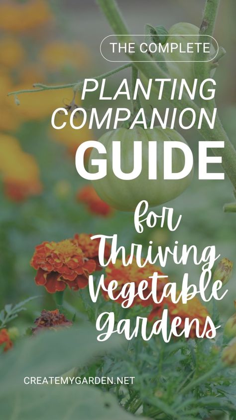 The Complete Planting Companion Guide for Thriving Vegetable Gardens - Create My Garden Plant Chart, Raised Container Garden, Beginning Gardening, Companion Planting Guide, Garden Preparation, Companion Planting Vegetables, Diy Gardening Ideas, Companion Gardening, Beans And Corn