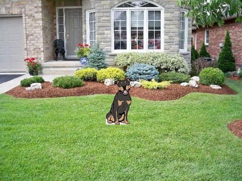 Low Maintenance Landscape, Low Maintenance Landscaping Front Yard, Budget Landscaping, Trees For Front Yard, Front Yards Curb Appeal, Pathway Landscaping, Small Front Yard Landscaping, Front Yard Design, Farmhouse Landscaping