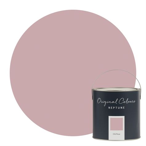 Rose Paint Color, French Grey Paint, Mustard Paint, Rose Bedroom, Eggshell Paint, Grey Paint, Plant Painting, Pink Paint, Pink Kitchen