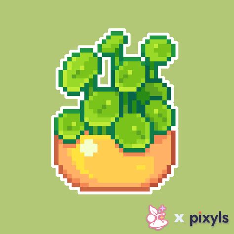 Pilea peperomioides is 4 of 8 plant designs that are available now @ @pixyls.ca !! #pixelart #digitalart #artshop #plants #houseplant #cuteart #collab #stickerbynumber #diamondpainting #diamondpaint #gempainting #paintbynumber #pixquare #artistsupport Pilea Peperomioides, Diamond Paint, Pixel Art Design, Plant Design, Artist On Instagram, Hanging Plants, Hanging Art, Paint By Number, Art Designs