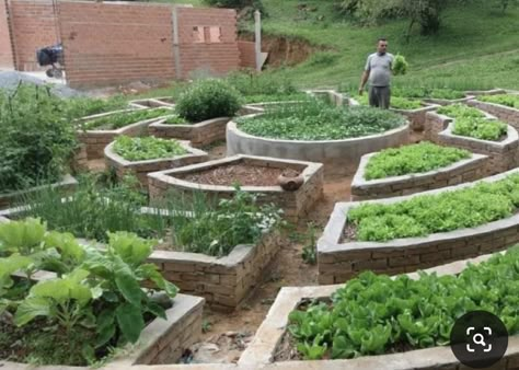 Round Vegetable Garden Design, Circular Raised Garden Beds, Flower Arrangements Home Decor, Flower Arrangements Home, Best Patio Furniture, Mum Ideas, Mums Flowers, Fall Flower Arrangements, Home Decor Aesthetic