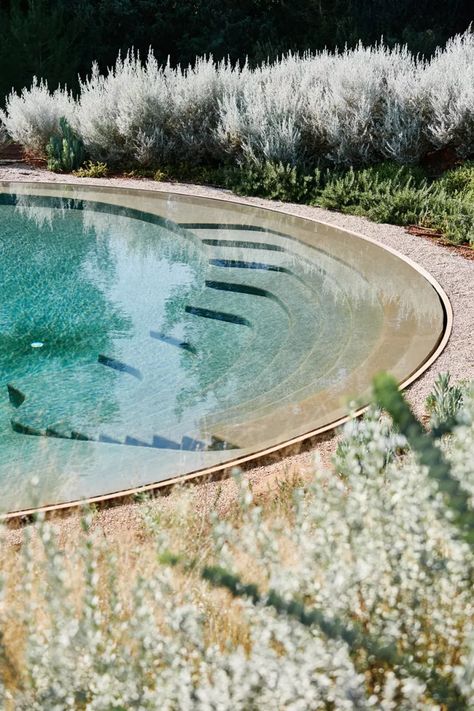 Aesthetic Backyard, Swimming Pool Images, Creative Retreat, Diy Swimming Pool, Natural Pond, Natural Swimming Pools, Natural Swimming Pool, Natural Pool, Garden Pool