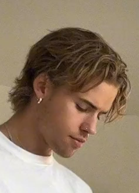 Men’s Mullets Straight Hair, Men’s Haircut Ideas Medium, Men’s Haircut Straight Hair Long, Mens Hairstyles Blonde Medium, Mid Length Men’s Haircut, Men’s Long Blonde Hair, 80s Hairstyles Men Mullets, Surfer Mullet Men, Straight Long Hair Men Hairstyles