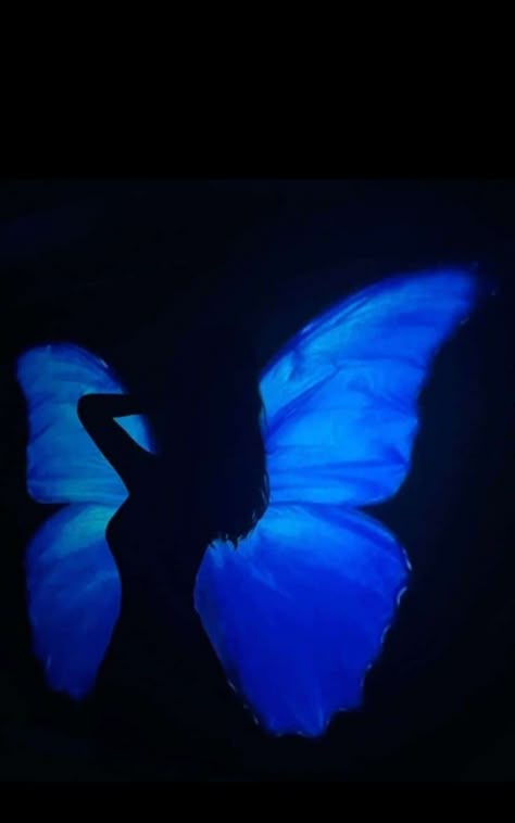 Nature Animals Wallpaper, Blue Girl Aesthetic, Fairy Wings Aesthetic, Butterfly Oc, Preppy Aesthetic Wallpaper, Feminine Wallpaper, Dark Blue Wallpaper, Page Decoration, Animated Wallpapers For Mobile