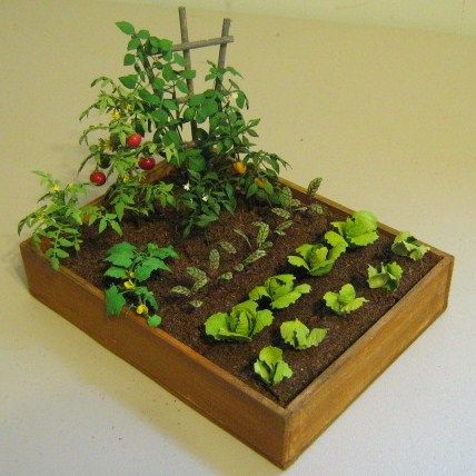 Miniature Vegetable Garden, Garden Model Projects, Garden Miniature, Garden Miniature Diy, Garden Diorama, Mini Garden School Project, Miniature Farm, Miniature Plants Diy, Doll House Garden