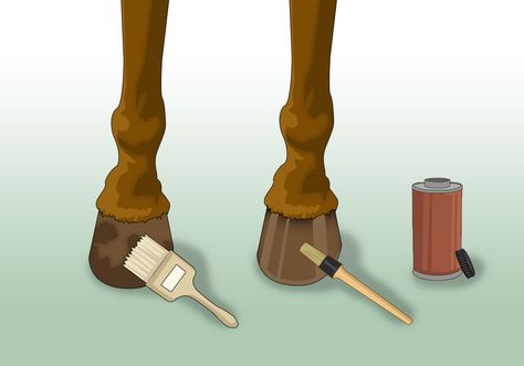 Diy Equestrian, Diy Horse Stuff, Horse Hacks, Barn Hacks, Equine Care, Healthy Horses, Horse Hoof, Horse Care Tips, Hoof Care