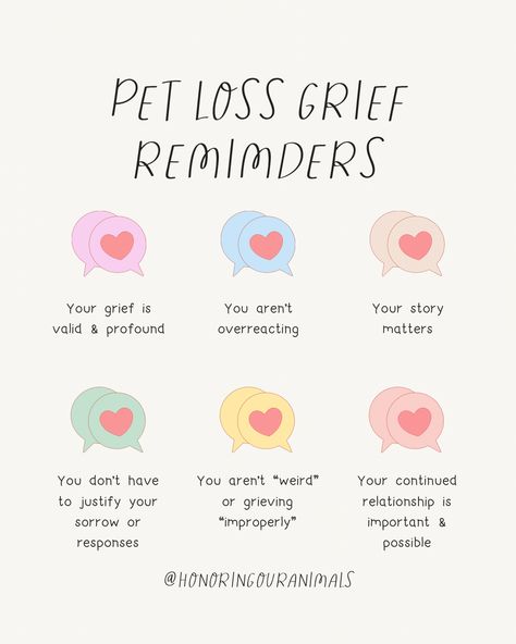 🚨 If you've felt isolated and unsupported in your grief, I'm deeply sorry. You're not alone. 📚 Your feelings are backed by countless studies showing the deep impact pets have on our lives. 🌻 Let's use our shared experiences to build a bridge of empathy and understanding, offering support where it's needed most. Griefing Your Pet Quotes Cat, Griefing Your Pet Quotes, Per Memorial Ideas, Coping With Pet Loss Dogs, Griefing Your Dog Quotes, Griefing Your Dog, Dog Grievance Quotes, Griefing Your Pet, Pet Grievance