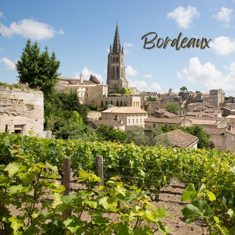 The Ultimate Guide to Wine Tours in France Exploring France's wine country is a must for any wine enthusiast. Here’s what to expect on our exclusive wine tours: 🍇 Bordeaux: Taste world-renowned wines. 🥂 Champagne: Visit prestigious champagne houses. 🍷 Burgundy: Explore charming vineyards. 🍃 Loire Valley: Enjoy scenic wine routes. Like and save this post for when you're ready to sip and savor! . . . . #WineTours #FrenchWine #BordeauxWine #ChampagneRegion #BurgundyWines #LoireValley #WineLo... Champagne Region, Bordeaux Wine, French Wine, Loire Valley, Wine Enthusiast, Wine Tour, Wine Country, Champagne, Wine