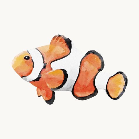 Nemo Fish, Illustration Fish, Sea Drawing, Drawn Fish, Watercolor Fish, Clownfish, Watercolor Ocean, Fish Illustration, Fish Drawings