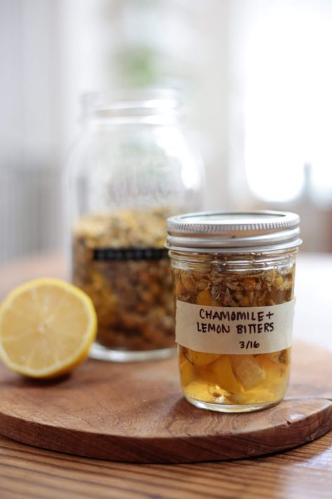 Lemon & Chamomile Bitters for Gut Health | Little Green Dot Tincture Photoshoot, Digestive Bitters, Bitters Recipe, Herbal Tonic, Medicinal Herbs Garden, Gut Health Recipes, Herbal Tinctures, Herbal Recipes, Herbal Apothecary