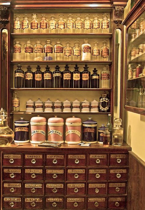 Pantry Goals, Apothecary Design, Apothecary Decor, Vintage Apothecary, Apothecary Cabinet, Herbal Apothecary, Apothecary Bottles, Medicine Bottles, Apothecary Jars