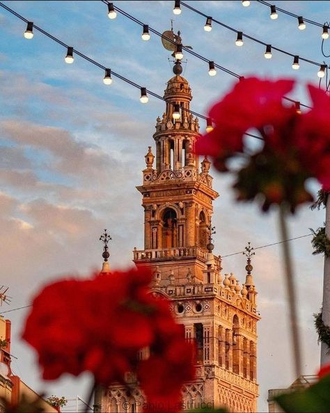 Feria de Abril Romantic Spain Aesthetic, Spaniard Aesthetic, Seville Spain Aesthetic, Seville Aesthetic, Flamenco Aesthetic, Sevilla Aesthetic, Flamenco Spain, Spain Aesthetic, Spanish Dress