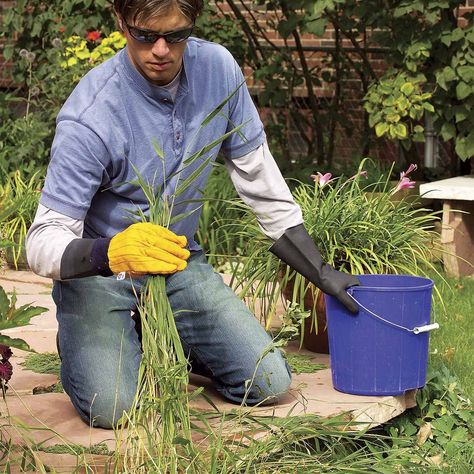 The Ultimate Guide to a Weed-Free Landscape Kill Weeds With Vinegar, Killing Weeds, Flower Bed Designs, Types Of Grass, Organic Mulch, Ground Cover Plants, Family Handyman, Plant Roots, Bedding Plants