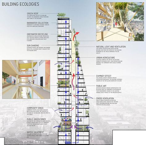 Mass timber design for multifamily housing | Building Design + Construction Green Building Architecture, Mass Timber, Vertical City, Architecture Design Process, Multifamily Housing, Timber Architecture, Mix Use Building, Timber Buildings, Architecture Concept Diagram