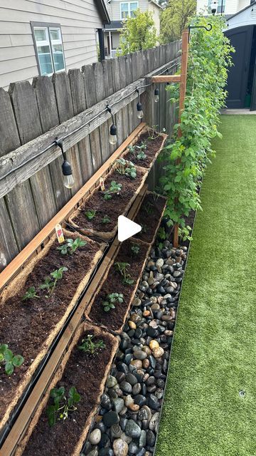 DIY.COOKING.MOMLIFE.DECOR.FASHION on Instagram: "I truly love gardening. Adding these strawberries is one of my favorite additions ❤️ tip: get ever-bearing strawberries 🍓 they will produce more/longer @walmart    #strawberry #strawberries #strawberries🍓  #planting #backyard #fence #basket  #summer #fruit #red #besthusbandever #diy #diydecor #diyideas #diyhome  #pnw #sunshine #washington #oregon #gardening #garden #fruit #miraclegro" Strawberry Trellis Ideas, Strawberry Planter Ideas Diy, Strawberry Fence, Hanging Strawberry Planter Ideas, Strawberry Patch Garden, Strawberry Patch Ideas, Hanging Strawberry Plants, Strawberries Planting, Strawberries In Raised Beds