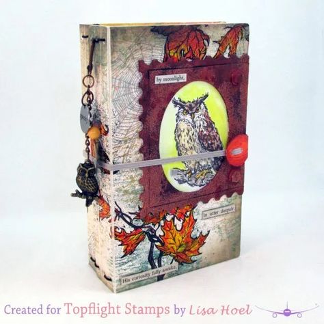 Notebook Gift Ideas, Explosion Cards, Altered Books Pages, Stamps Design, Stamp Frame, Bookbinding Tutorial, Boxes Ideas, Owl Images, Vintage Halloween Costume