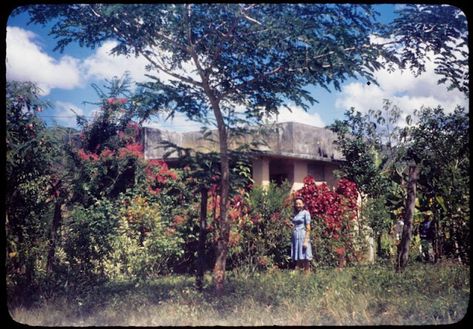 Parrandas Puerto Rico, Puerto Rico Landscape, Puerto Rico Pictures, Coconut Grove, Vintage Everyday, Island Art, Photos Vintage, Moving Day, Caribbean Sea