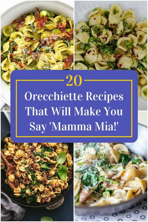 Collage of 4 orecchiette recipes. Orrechiette Recipes Vegetarian, Orchetta Pasta, Orchiette Pasta Recipes, Orchetta Pasta Recipe, Orrechiette Recipes Pasta Salad, Orchetta Pasta Recipes, Orrechiette Recipes, Orrechiette Recipes Italian Sausages, Orchiette Pasta Recipes Dinners