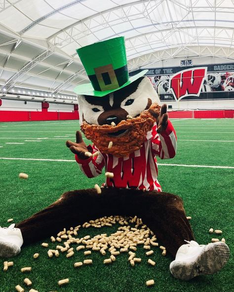 If you with Bucky, you don’t need to be lucky!! 🍀 Happy St. Patty’s Day madtown!! 🍀 . . #badgers #wisconsin #gobucky #stpatricksday #green… | Instagram Bucky Badger, Wisconsin Badger, Green Instagram, Old Row, Uw Madison, Wisconsin Badgers, College Fun, St Patrick’s Day, Badger