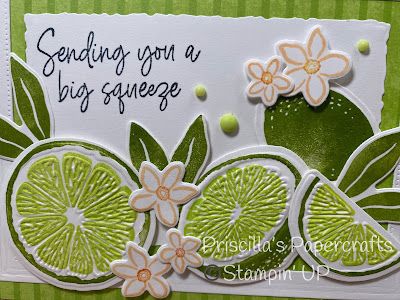 Priscilla's Papercrafts: Mixing New with Old Tea Boutique, Boutique Cards, January 5th, Sweet Citrus, Hello Cards, Friendship Cards, Stamping Up Cards, Limes, Get Well Cards