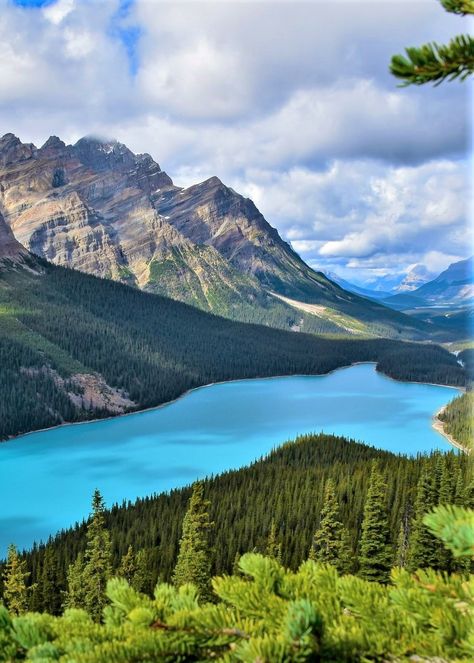 Postcards from Paradise Peyto Lake Canada, Peyto Lake, Lake Louise, Banff National Park, Alberta Canada, Amazing Nature, Vancouver, National Park, Paradise