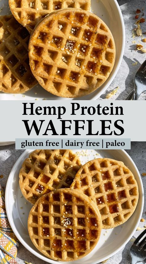 These healthy hemp protein waffles are made with almond flour and hemp protein powder. They're less than 10 ingredients and have a crispy, crunchy texture. These hemp waffles are also gluten free, dairy free and paleo. With a simple swap they can be made egg free (vegan) as well. Hemp Flour Recipes, Keto Protein Powder Recipes, Gluten Free Protein Waffles, Hemp Protein Powder Recipes, Almond Flour Protein Waffles, Vegan Almond Flour Waffles, Protein Powder Waffles Low Carb, Paleo Waffles Coconut Flour, Hemp Protein Powder Waffles