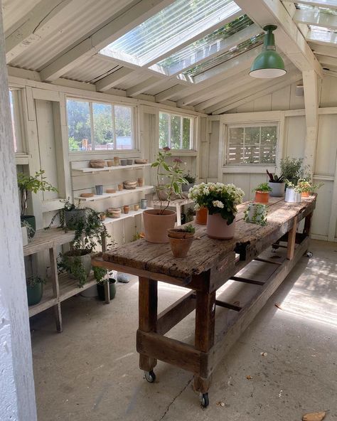 Garden Open Shed, Caitlin Chapman, Shed Aesthetic, Greenhouse Inspiration, Cottage Greenhouse, Wine Instagram, Greenhouse And Garden, Garden Shed Interiors, Bocce Ball Court