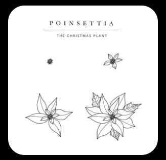 Poinsettia Tattoo, Christmas Plants, Poinsettia, I Tattoo, Small Tattoos, Tatting, Tattoo Ideas, Tattoos, Flowers