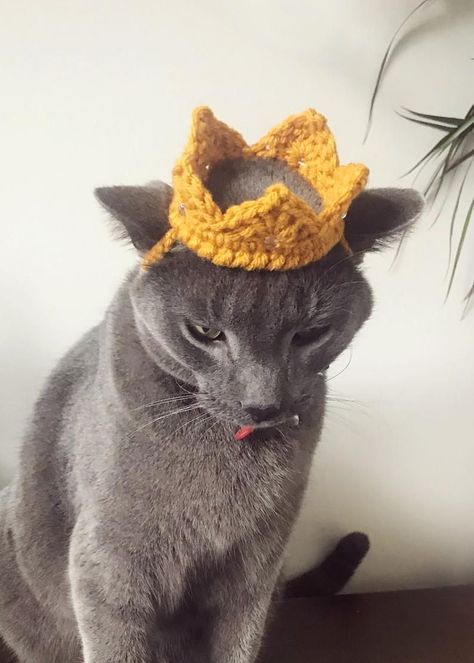 Crochet pattern 059 - Crown for Cat, Crown for Small Dog, Pet Costumes, Birthday Cat Costume, Animal photo prop, Hats for cats, Hats For Cats, Cat Crown, 2023 Crochet, Keychain Designs, Crochet Cat Hat, Crochet Costumes, Birthday Cat, Small Crochet, Cat Costume