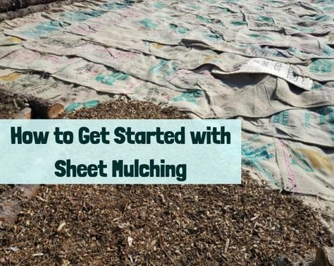 Basics of Sheet Mulching Vegetable Garden Soil, Mulch Around Trees, Outdoor Gathering Area, Sheet Mulching, Garden Mulch, Lasagna Gardening, Mulch Landscaping, Permaculture Gardening, Survival Gardening