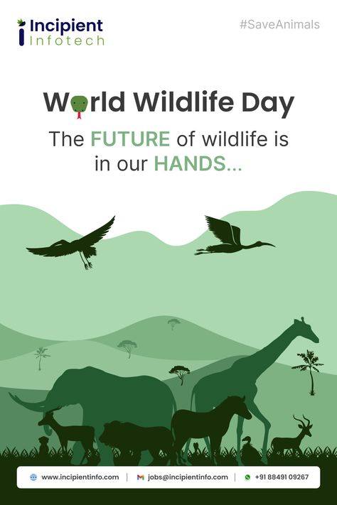 The quality of life for humans is going to get worse with the wildlife getting extinct. Let us save them for the #planet. Warm wishes on #WorldWildlifeDay. #WorldWildlifeDay2023 #HappyWorldWildlifeDay #wildlife #Nature #WWD2023 #Animals #SaveAnimals Wildlife Graphic Design, World Wildlife Day, Life Slogans, Wildlife Protection, Wildlife Day, Nature Poster, Nature Posters, Poster Layout, Save Animals