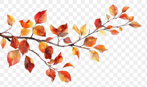 Branch Illustration, Fall Leaves Png, Flower Fall, Autumn Leaves Art, Leaves Png, Fall Flower, Vintage Fall, Leaf Art, Fall Flowers