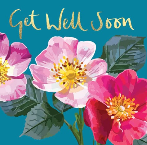 Seems like the dreaded lurgy is doing the rounds again. If you're feeling a little under the weather, get well soon! #getwellsooncard #floralcards #floralcardsuk #occasioncards #greetingscards Cute Homemade Cards, Get Well Soon Quotes, Bday Greetings, Get Well Soon Flowers, Get Well Soon Messages, Well Quotes, Get Well Messages, Get Well Quotes, Feel Better Quotes