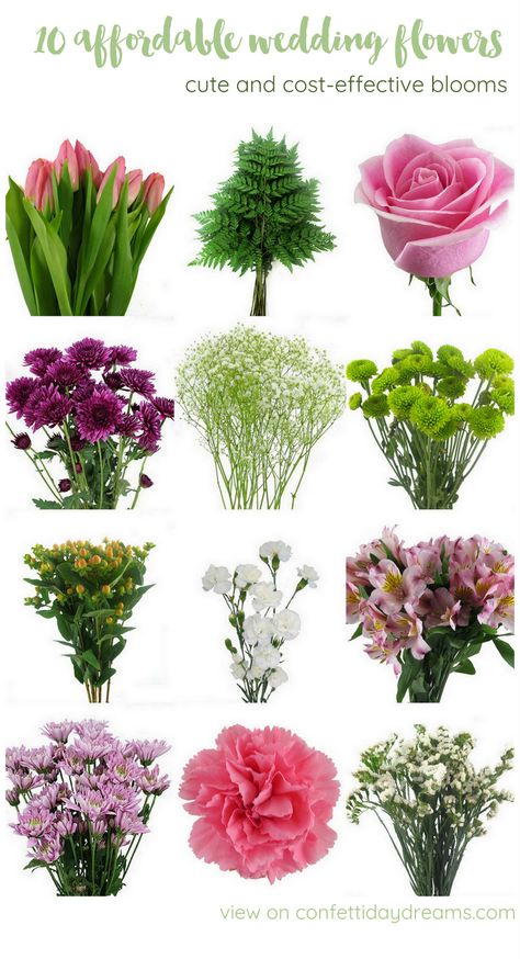 The Most Affordable Types of Wedding Flowers on a Budget Least Expensive Wedding Flowers, Most Popular Wedding Flowers, Inexpensive Flowers For Wedding, Popular Flowers For Bouquets, Cheap Floral Arrangements Wedding, Cheap Floral Arrangements, Cheapest Flowers For Wedding, Affordable Flowers For Wedding, Affordable Wedding Florals