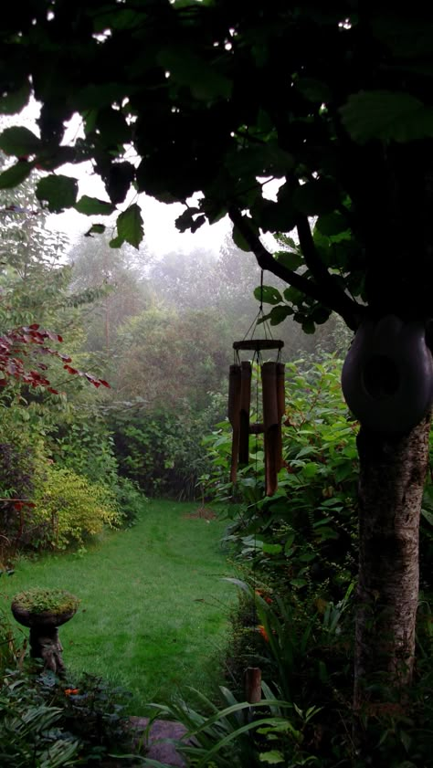 Bealtaine Cottage, Witches Cottage, Witchy Garden, Ireland Cottage, Dark Cottage Core, Woodland Cottage, Forest Cottage, Witch Cottage, Witch Garden