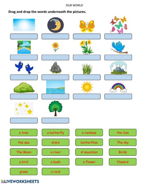 Our World 1 - Unit 2 - My world worksheet Nature Worksheets For Kids, Forest Worksheet, Is Am Are Worksheets, Nature Worksheets, Nature Worksheet, 2nd Grade Reading Worksheets, Test For Kids, Rules Poster, Sound Picture