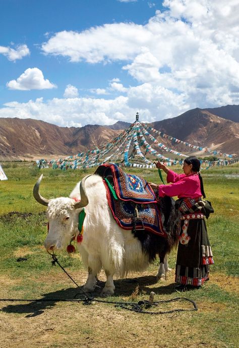 Tibet Photography, Lhasa Tibet, Potala Palace, Us Friends, The Pilgrims, The Dalai Lama, Gautama Buddha, Tibetan Art, Funny Tattoos