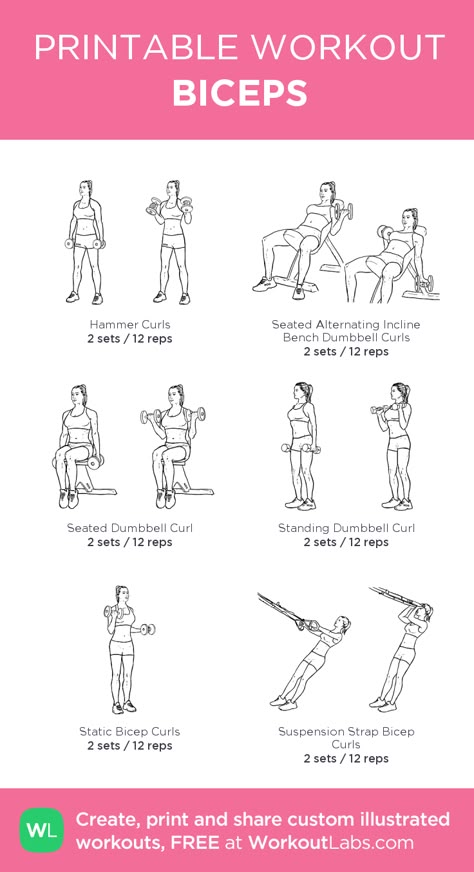 Biceps Workout That Will Have You Bursting Through Your Sleeves #bicepsworkout KNOW - BICEPS-I’ve always had a hard time building my biceps at the same rate as the rest of my physique, particularly the short head. My bis have always required extra attention in order to get them up to speed.-That being said there are ways to target each head of the bicep to give them the extra attention they need.-Save this post if you need a quick reminder on what exercises target each head of the bicep most. #b Mens Bicep Workout, Bicep Workout Gym, Big Biceps Workout, Back And Bicep Workout, Bicep And Tricep Workout, Workout Labs, Bicep Workout, Printable Workout, Gym Workout Plan For Women