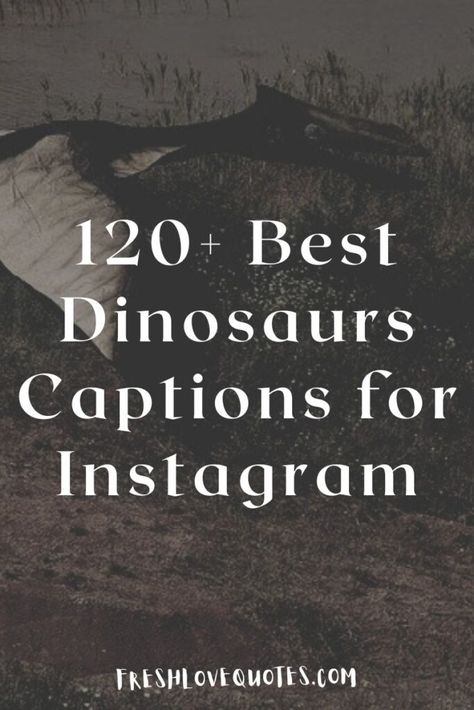 120+ Best Dinosaurs Captions for Instagram Quotes About Dinosaurs, Cute Dinosaur Quotes, Funny Dinosaur Quotes, The Good Dinosaur Quotes, Dinosaur Sayings, Jurassic Park Quotes, Museum Quotes, Dinosaur Quotes, Dinosaur Puns