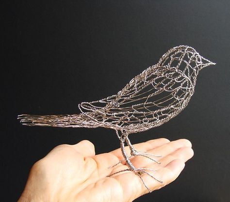 Sculptures Sur Fil, Chicken Wire Sculpture, Chicken Wire Art, Chicken Wire Crafts, Wire Bird, Oriole Bird, Wire Art Sculpture, Willow Weaving, Found Art