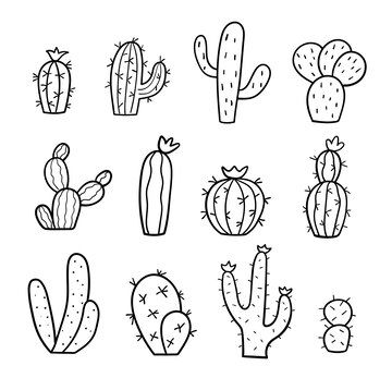 Cactus Drawings Simple, How To Draw A Cactus, Cactus Drawing Simple, Cacti Drawing Simple, Cactus Sketch, Art In School, Cactus Doodle, Cute Pigeon, Vbs 2025