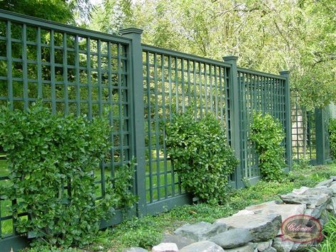 16 Inspirational Fence Ideas That Are Simple Yet Beautiful Privacy Garden, Garden Gates And Fencing, Trellis Fence, Green Fence, Backyard Fence, Lattice Fence, Garden Plan, Garden Vines, Backyard Pergola