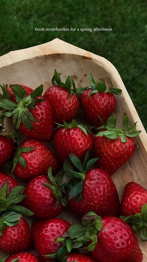 Fresh Strawberries Aesthetic, Strawberry Captions Instagram, Strawberry Story Instagram, Red Spring Aesthetic, Spring Insta Story, Red Strawberry Aesthetic, Strawberry Picking Aesthetic, Spring Instagram Story, Strawberry Wallpaper Aesthetic