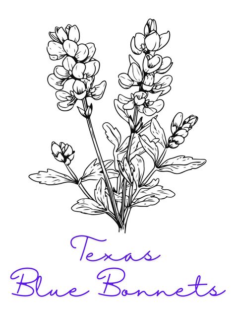 Texas Blue Bonnet Printable wall art. If you would like it to be personalize, please send me a message. Also if you have any issues, please reach out so I can get it fixed for you. Thank you so much! Girly Texas Tattoo, Blue Bonnet Drawing, Bluebonnet Drawing, Blue Bonnet Flower, Bluebonnet Tattoo, Longhorn Tattoo, Biblical Tattoos, Texas Wildflowers, Texas Tattoos