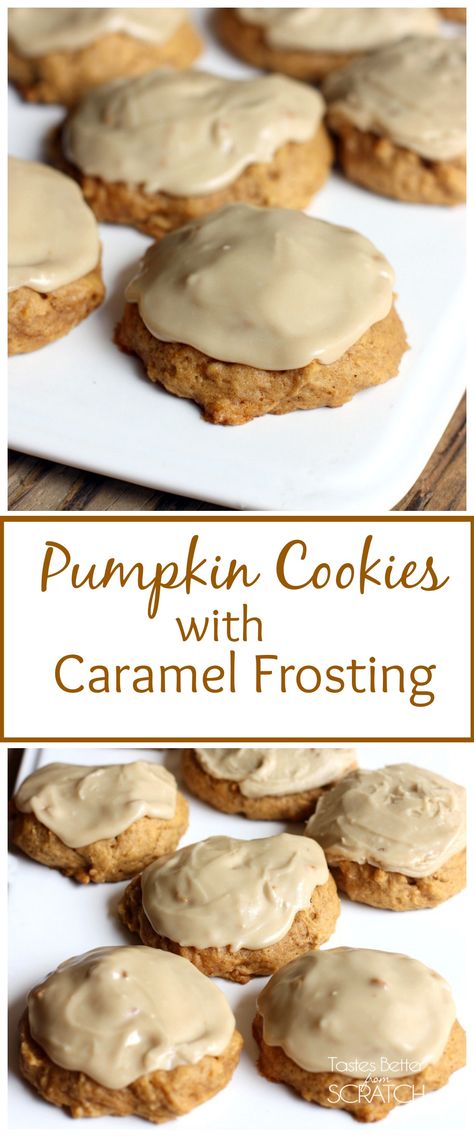 Melt-in-your-mouth Pumpkin Cookies with Caramel Frosting are my all time FAVORITE cookies! Recipe on http://TastesBetterFromScratch.com Cookies With Caramel, Soft Pumpkin Cookies, Weight Watcher Desserts, Caramel Frosting, Low Carb Dessert, Caramel Cookies, Frosting Recipe, Pumpkin Cupcakes, Pumpkin Cookies