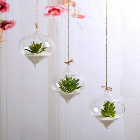 Hanging glass planters