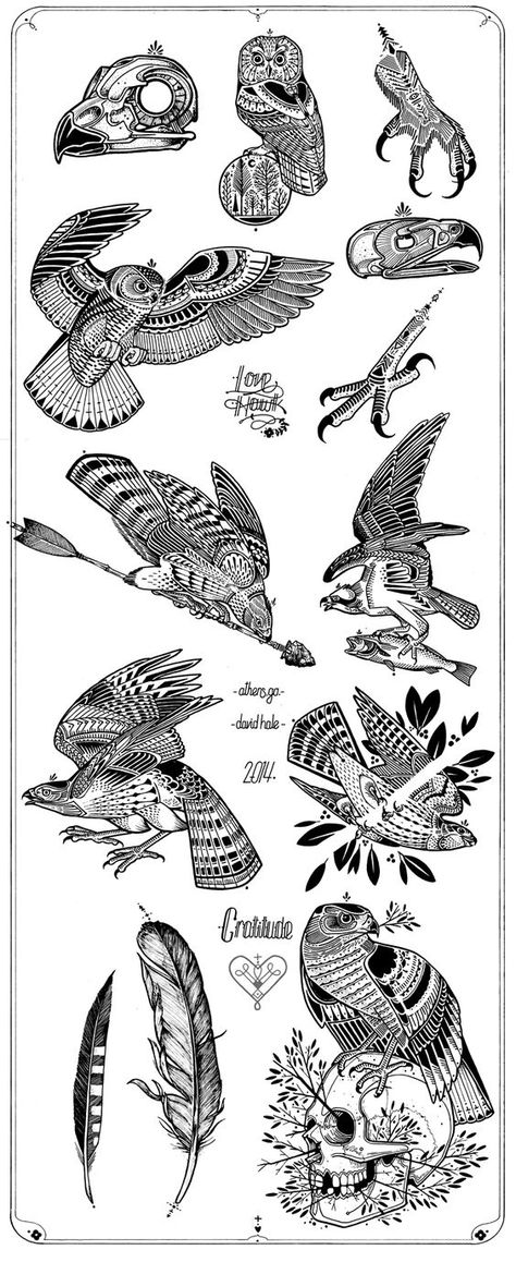 Love Hawk Tattoo, Falcon Tattoo Design, Hawk Tattoo Design, Tattoo Hawk, Hawk Illustration, David Hale Tattoo, Bird Of Prey Tattoo, Hawk Design, Falcon Tattoo