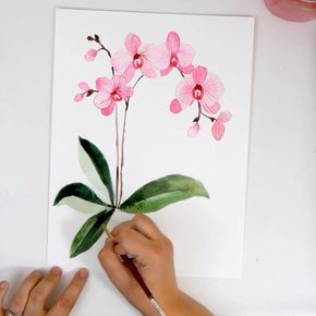 Learn how to paint pink watercolor orchids on the Snowberry design co YouTube Channel. Simple, step by step Orchids for beginners using Opera Rose and Hookers Green. Watercolor Orchids, Watercolor Flowers Tutorial, Watercolor Video, Paint Watercolor, Watercolor Paintings For Beginners, Watercolor Paintings Easy, Watercolor Painting Techniques, 수채화 그림, Watercolor Paintings Tutorials